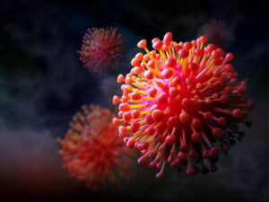 Virus Marburg - Majalahkartini.com