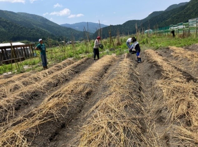  Dusit Internasional Melakukan Inisiatif Berkelanjutan di Jepang dengan Membuka Dusit Tea Garden dan Dusit Farm