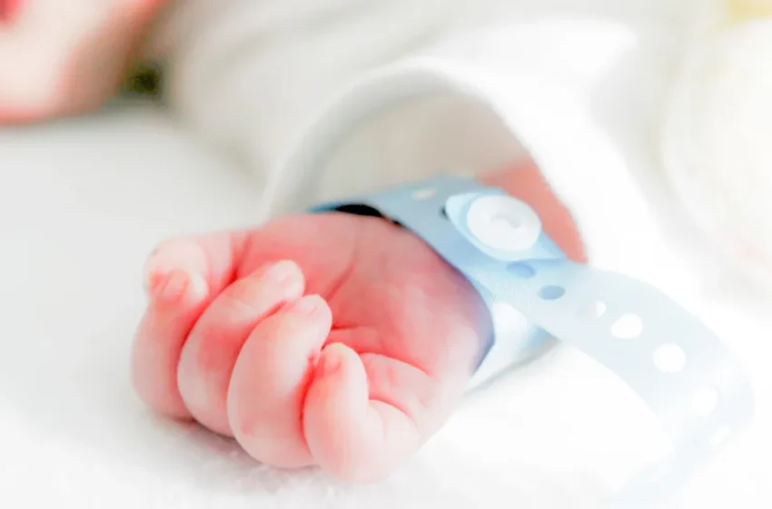  Waspada Anemia Defisiensi Besi pada Bayi: Menghindari Kekurangan Zat Besi yang Berbahaya