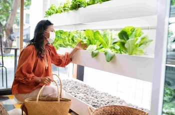 Urban Farming: Memanfaatkan Ruang Terbatas untuk Hidup Sehat di Tengah Kota - Majalah Kartini